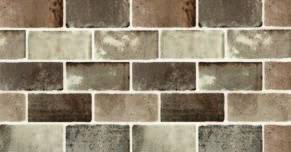 Brick Road Maple