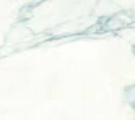 Calacatta Infinity White