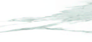 Carrara White