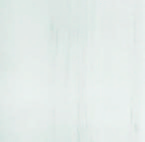 Evolution White