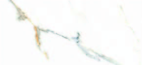 Harmony White
