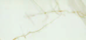 Marmo White + Gold