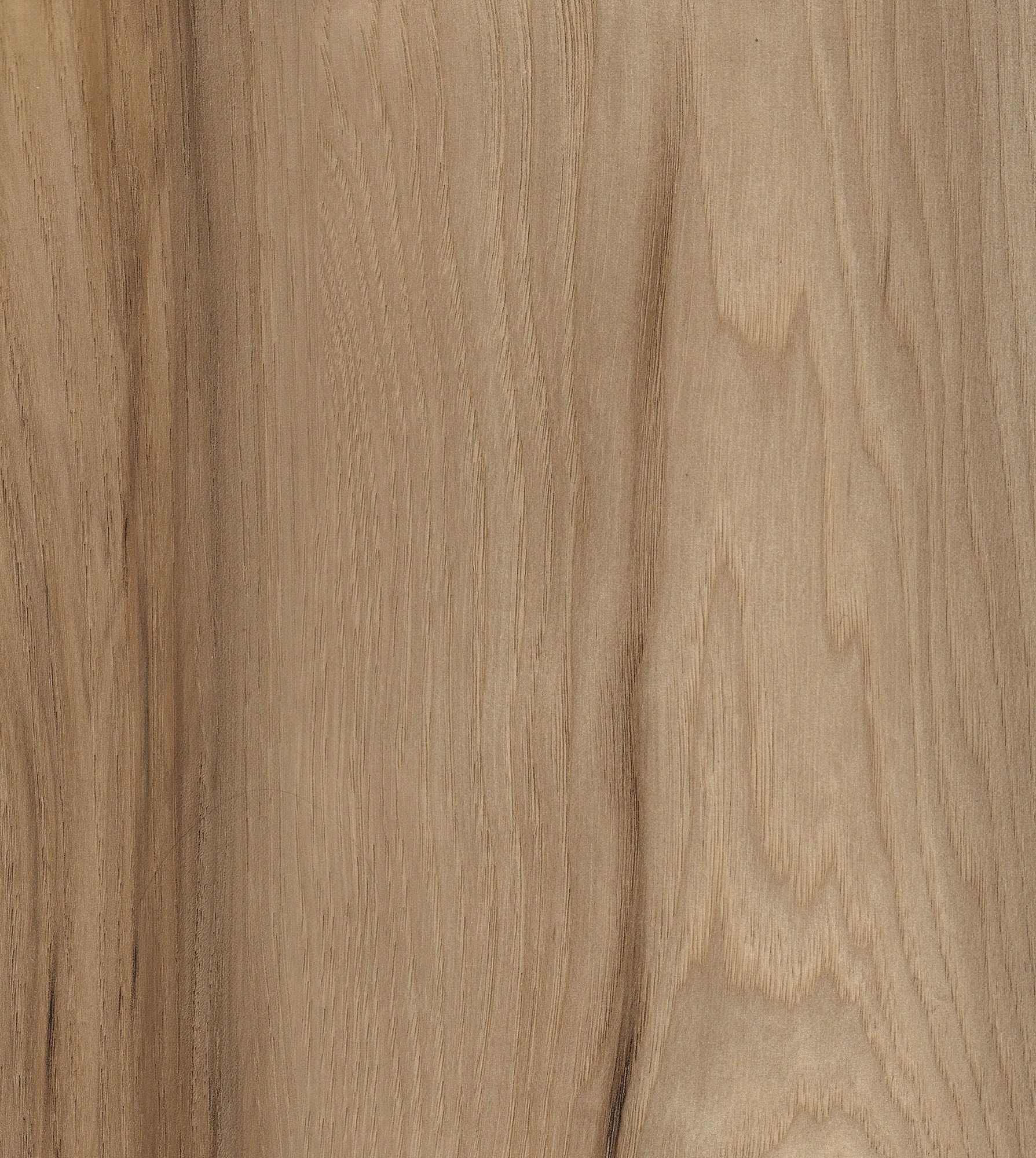 Easy Floor 55 SPC Vinyl New England Walnut