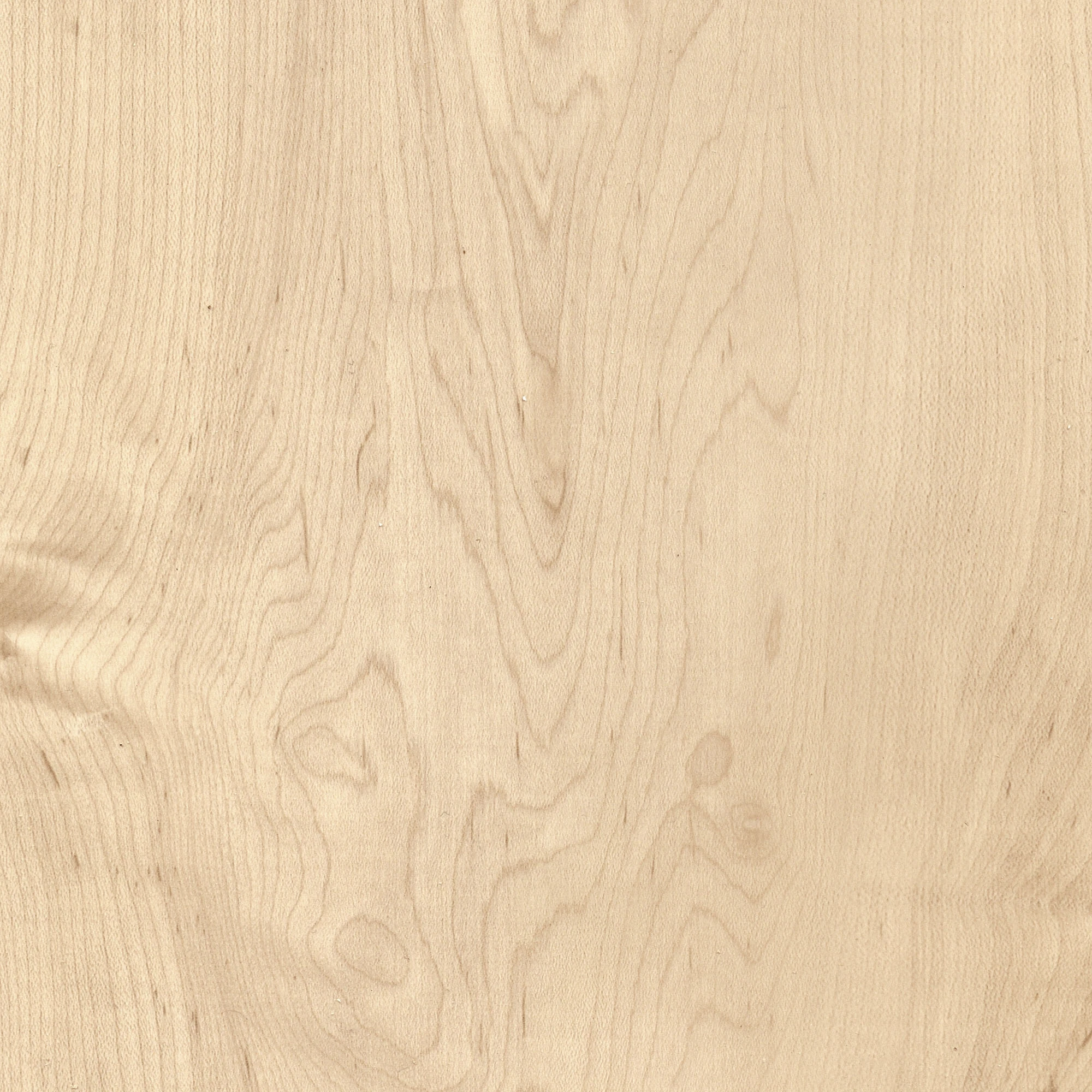 Easy Floor 55 SPC Vinyl Vermont Maple