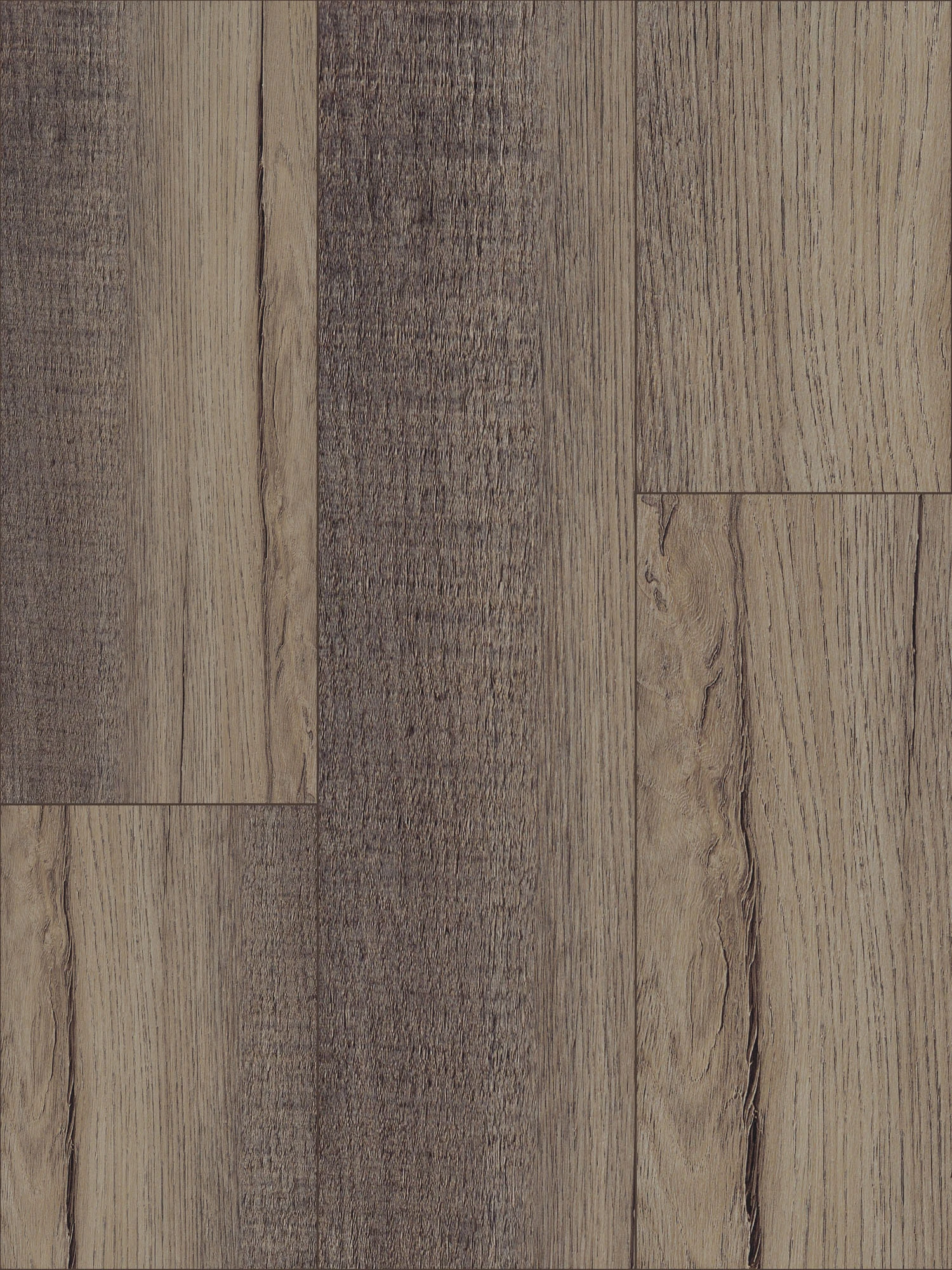 Coastal Town 50 SPC Vinyl New Castle Elm