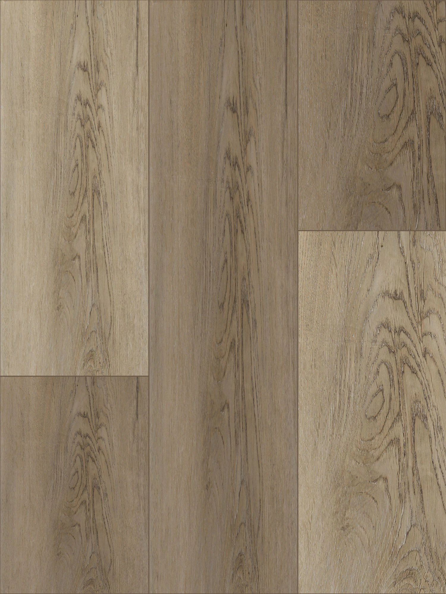 Coastal Town 50 SPC Vinyl Kennebunk Ash