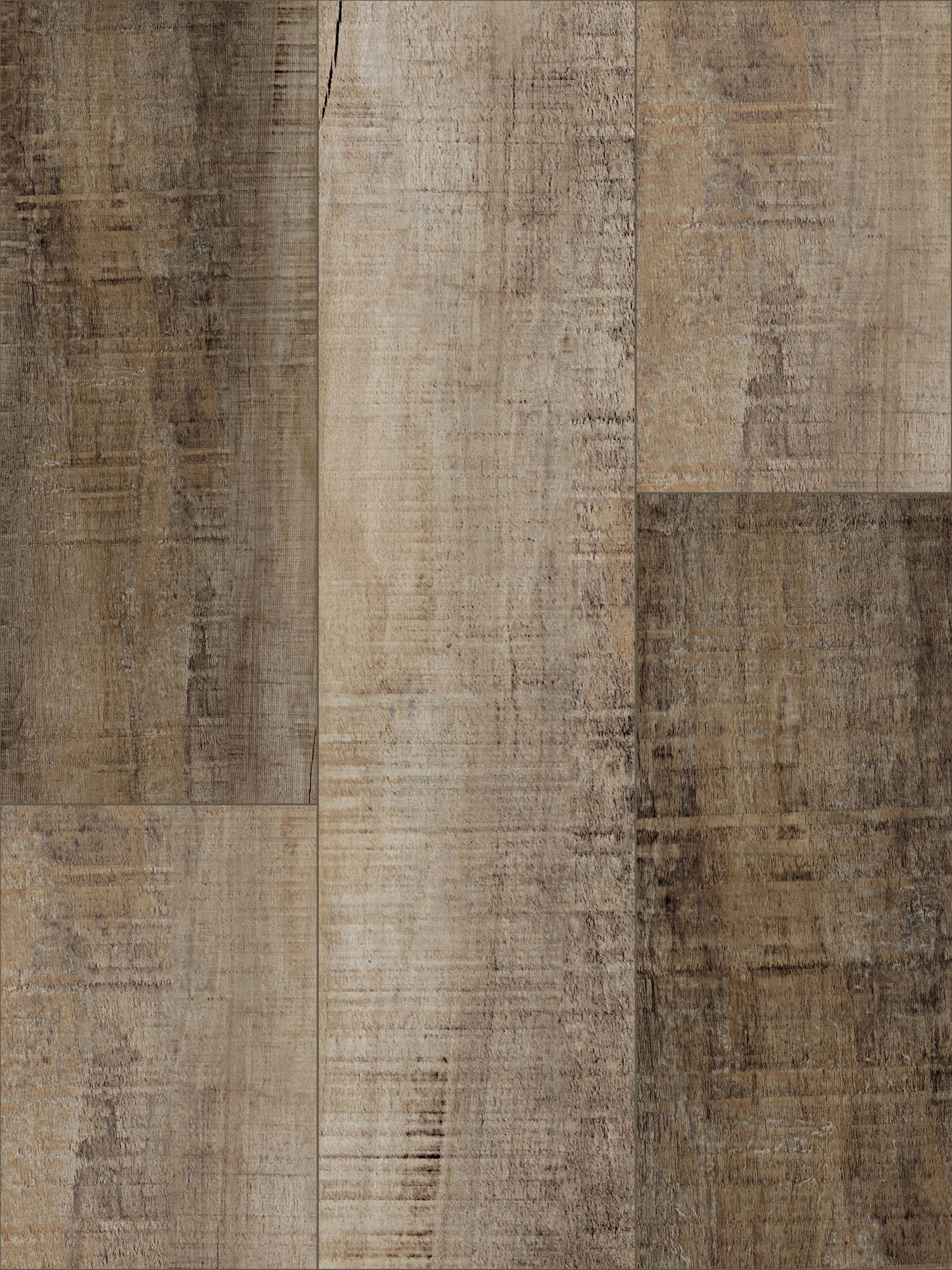 Coastal Town 50 SPC Vinyl Orchard Birch