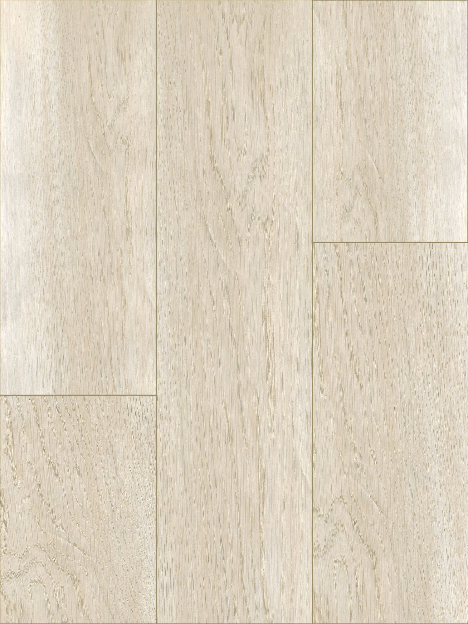 Coastal Town 50 SPC Vinyl Gloucester Ash