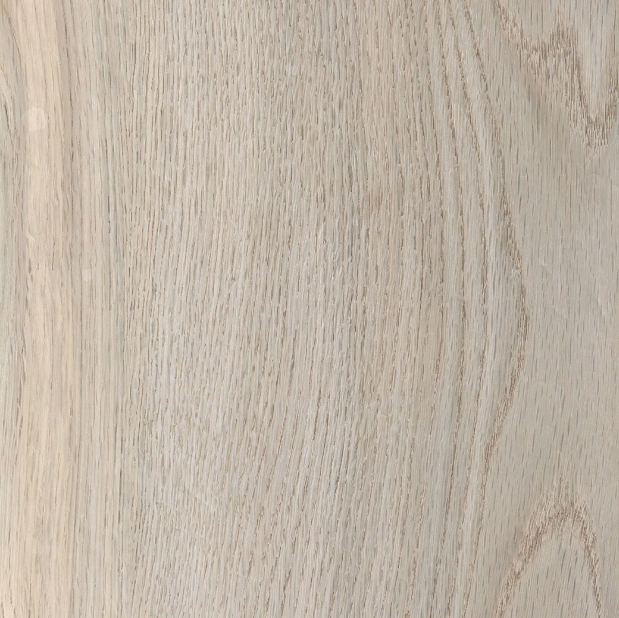 Timeless 50 SPC Vinyl Greige Oak