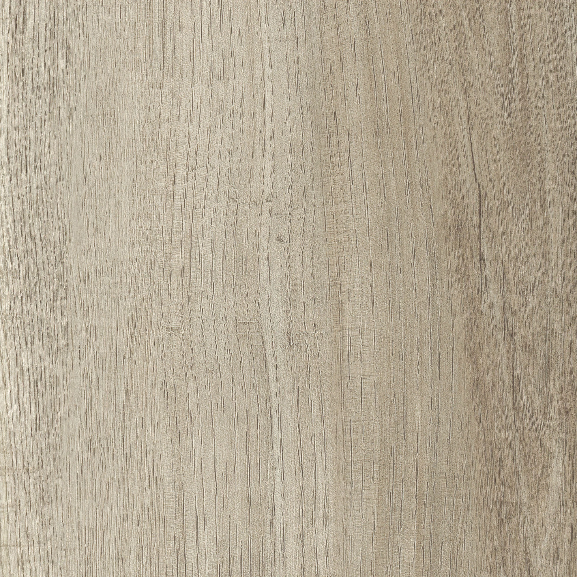 Timeless 50 SPC Vinyl Greige Hickory