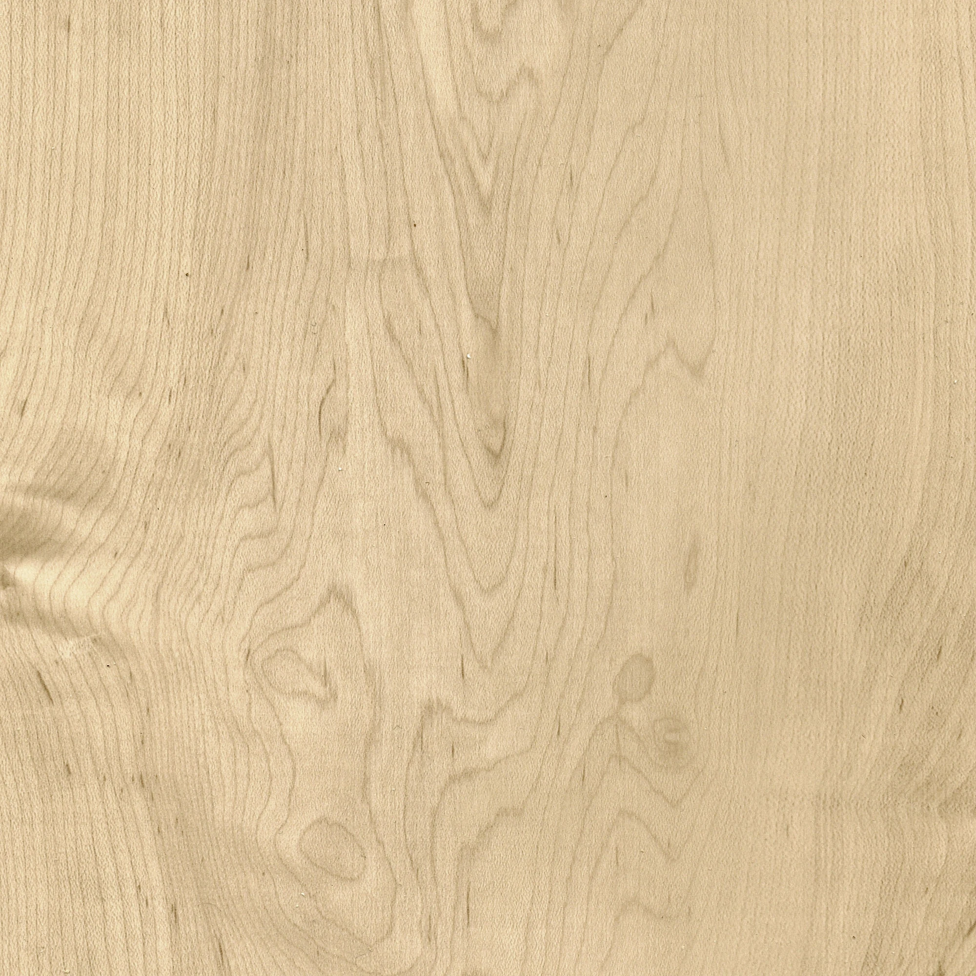 Timeless 50 SPC Vinyl Natural Maple