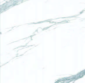 P.E. Denali White